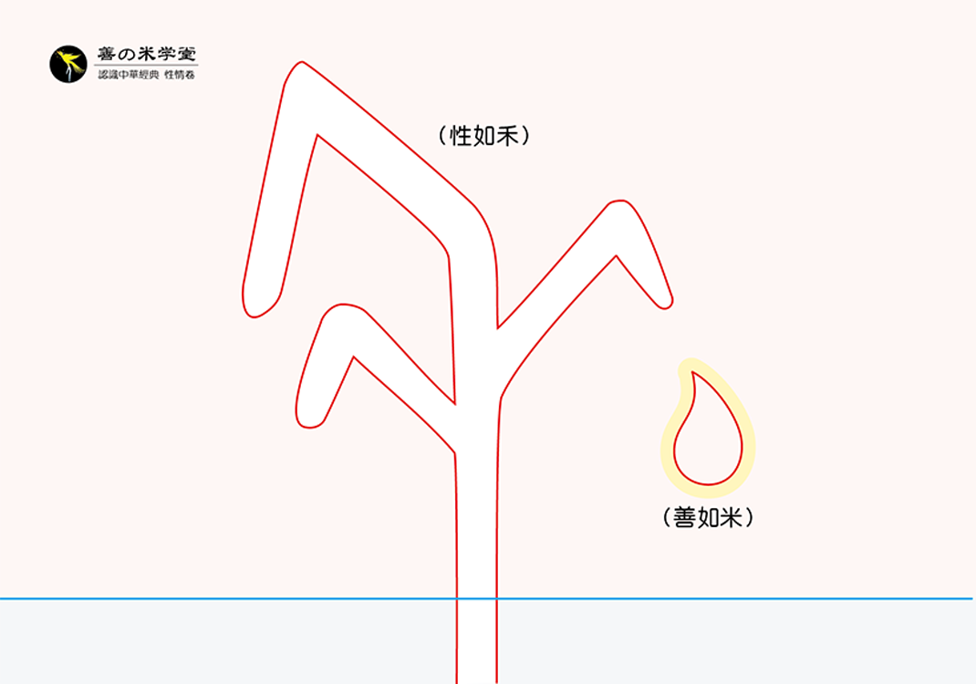 第05课 论天性之内外-善米