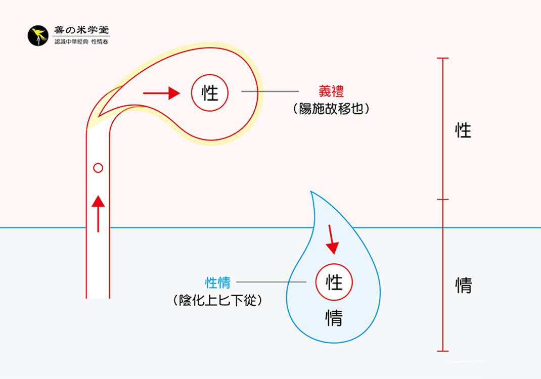 第06课 论天性之善觉-善米