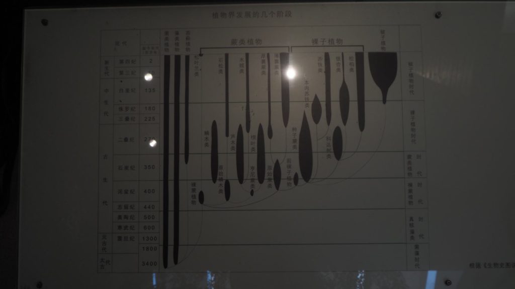 图片[207]-甘肃博物馆-善米