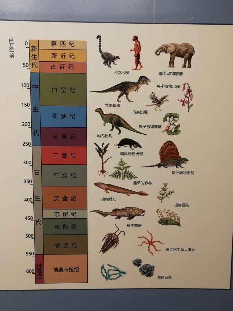 图片[159]-贵州博物馆和贵州民族馆-善米