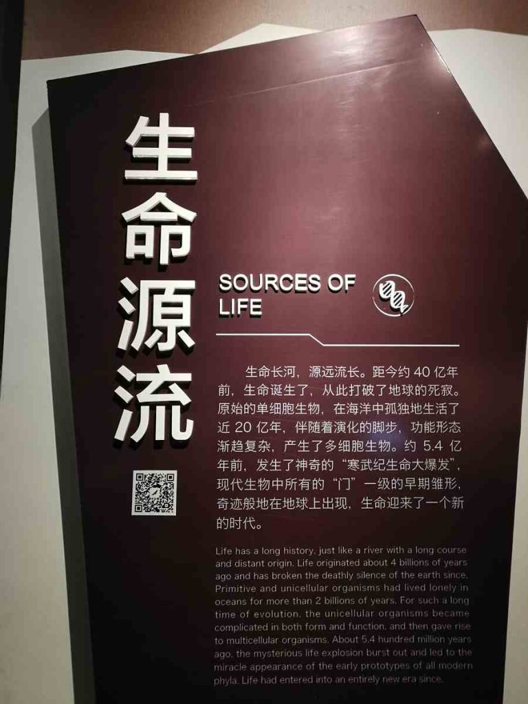 图片[35]-重庆自然博物馆-善米