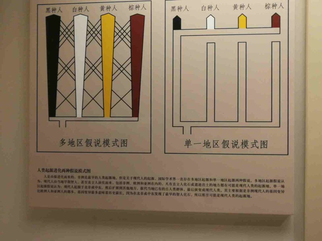 图片[8]-国家博物馆-善米