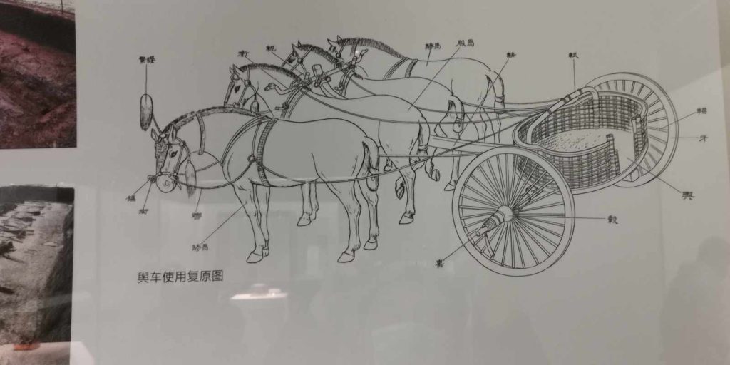 图片[1483]-湖北省博物馆-善米