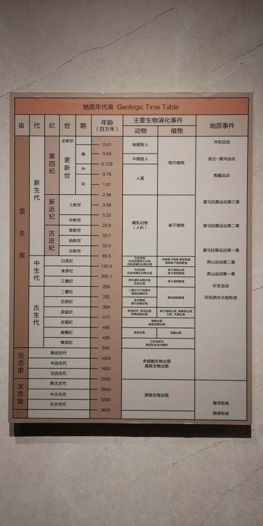 图片[49]-邯郸市博物馆-善米