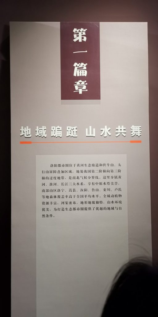 图片[58]-洛阳博物馆-善米