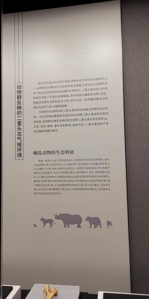 图片[176]-二里头博物馆-善米