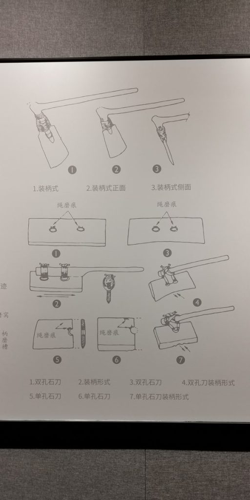 图片[223]-二里头博物馆-善米