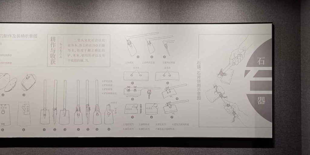 图片[225]-二里头博物馆-善米