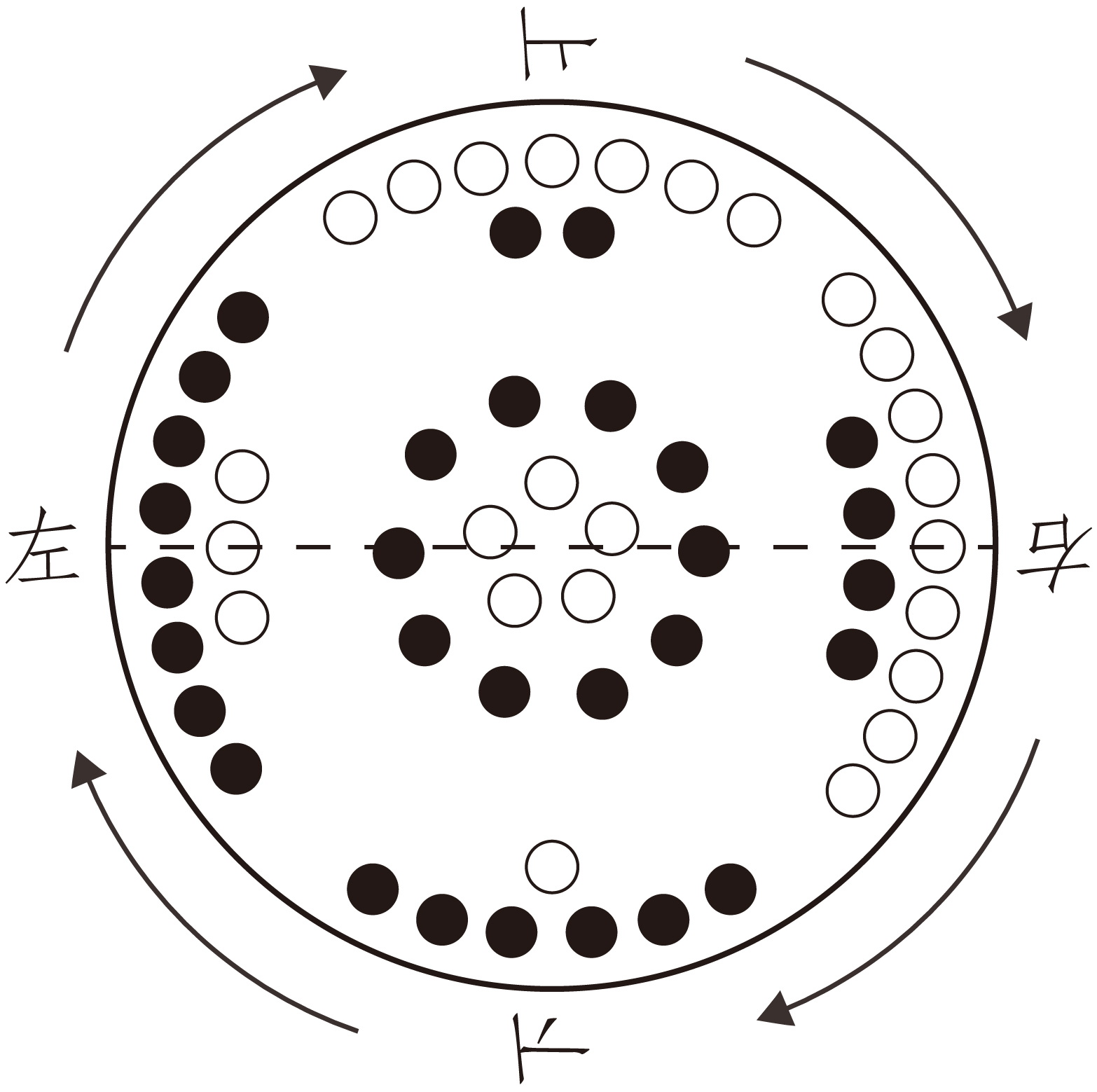 图片[13]-《圆运动的古中医学》原文-善米