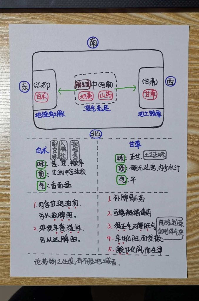 手绘《本草问答》-善米