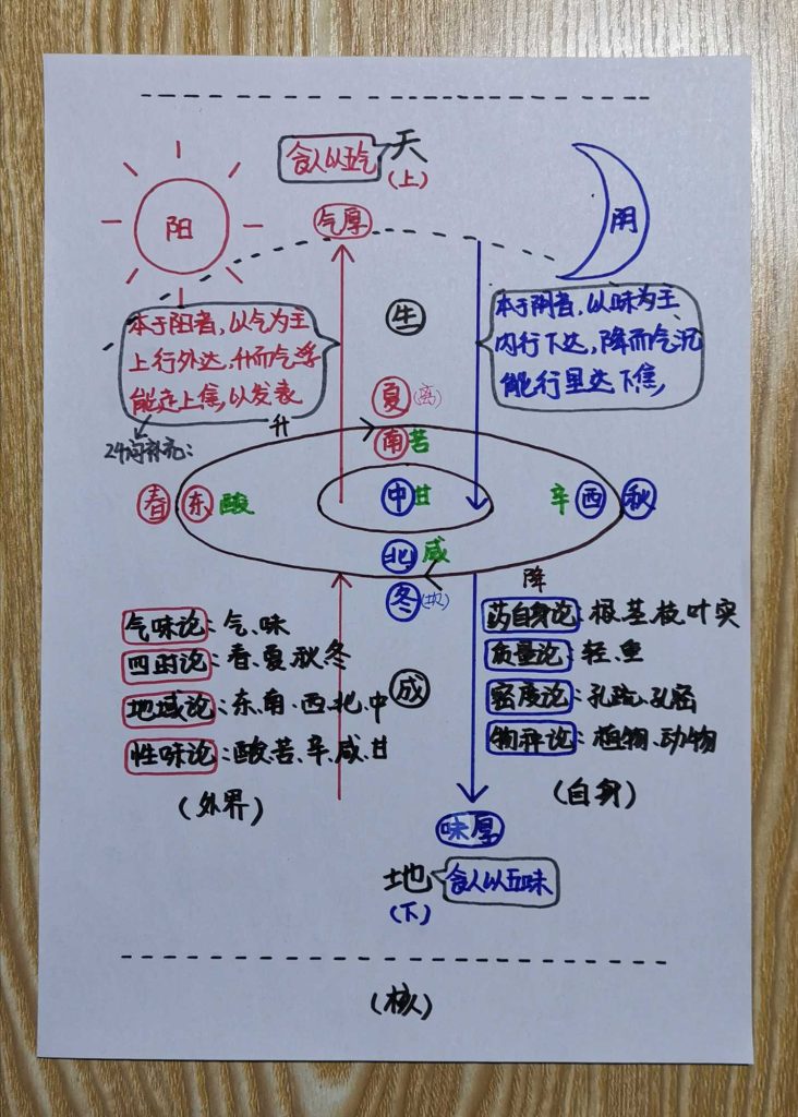 图片[6]-手绘《本草问答》-善米