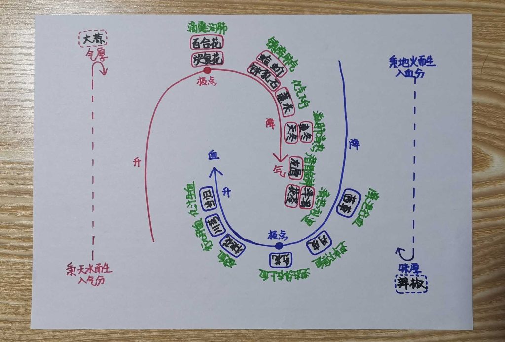 图片[13]-手绘《本草问答》-善米