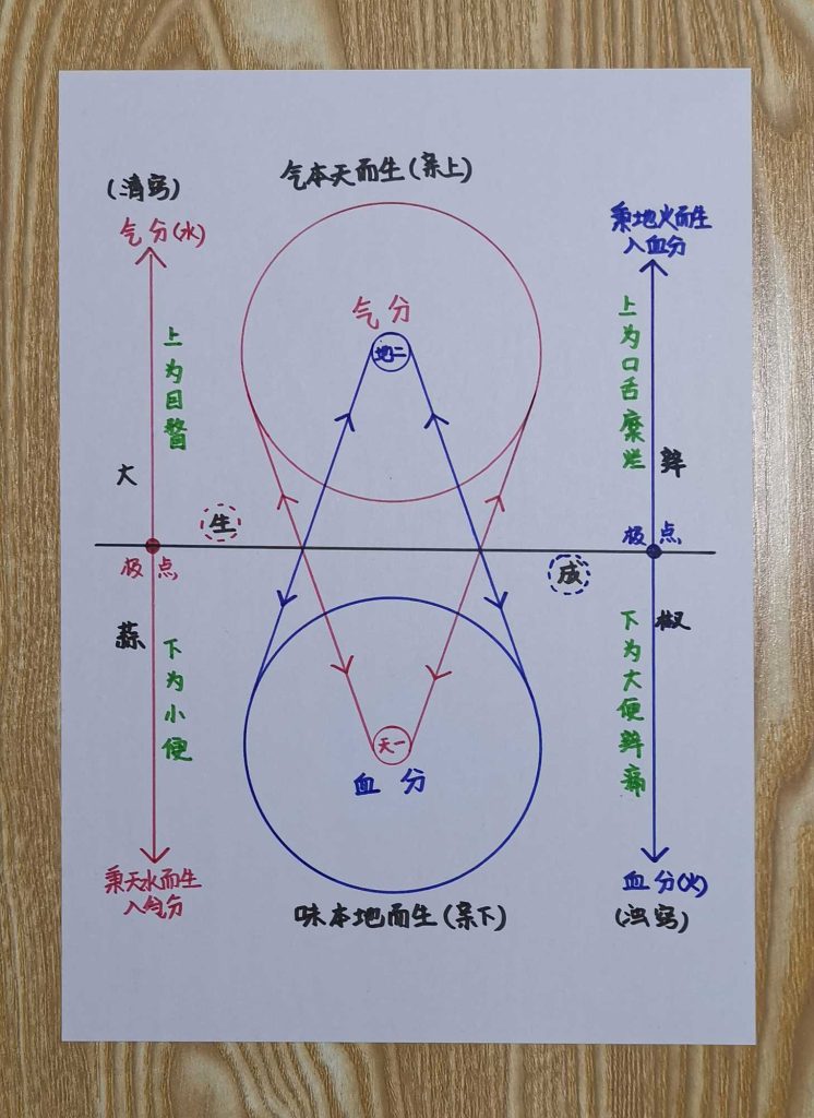 图片[16]-手绘《本草问答》-善米