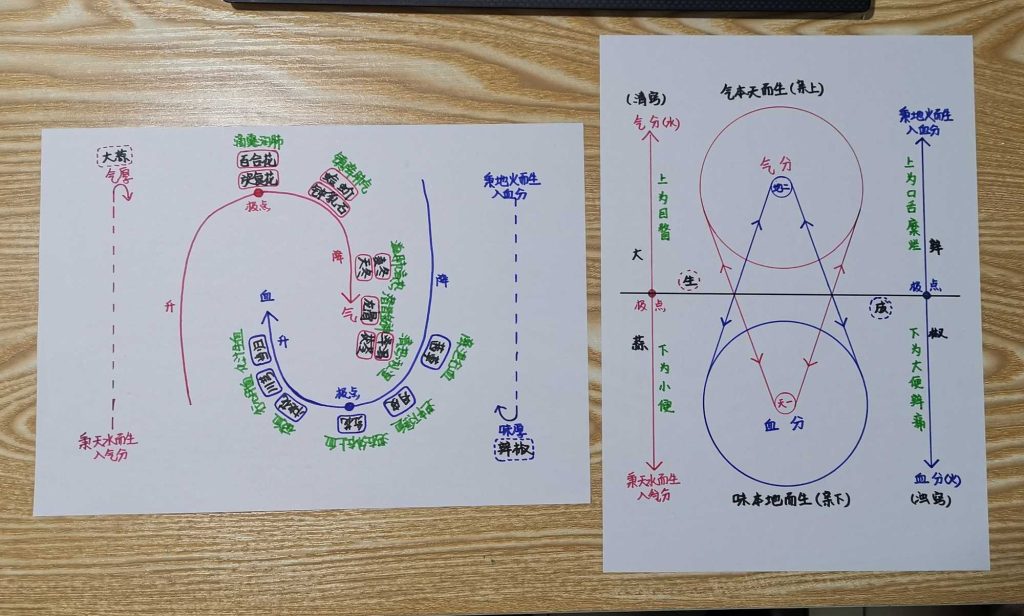 图片[17]-手绘《本草问答》-善米