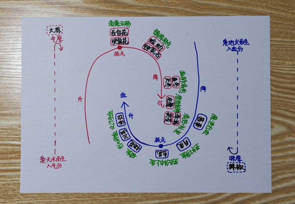 图片[18]-手绘《本草问答》-善米