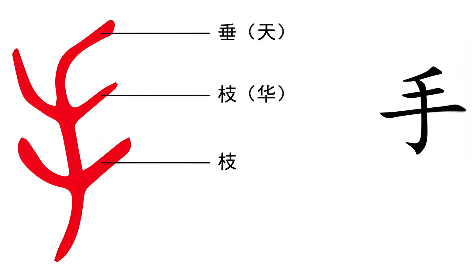 图片[3]-7人之四末（草、足、手）-善米