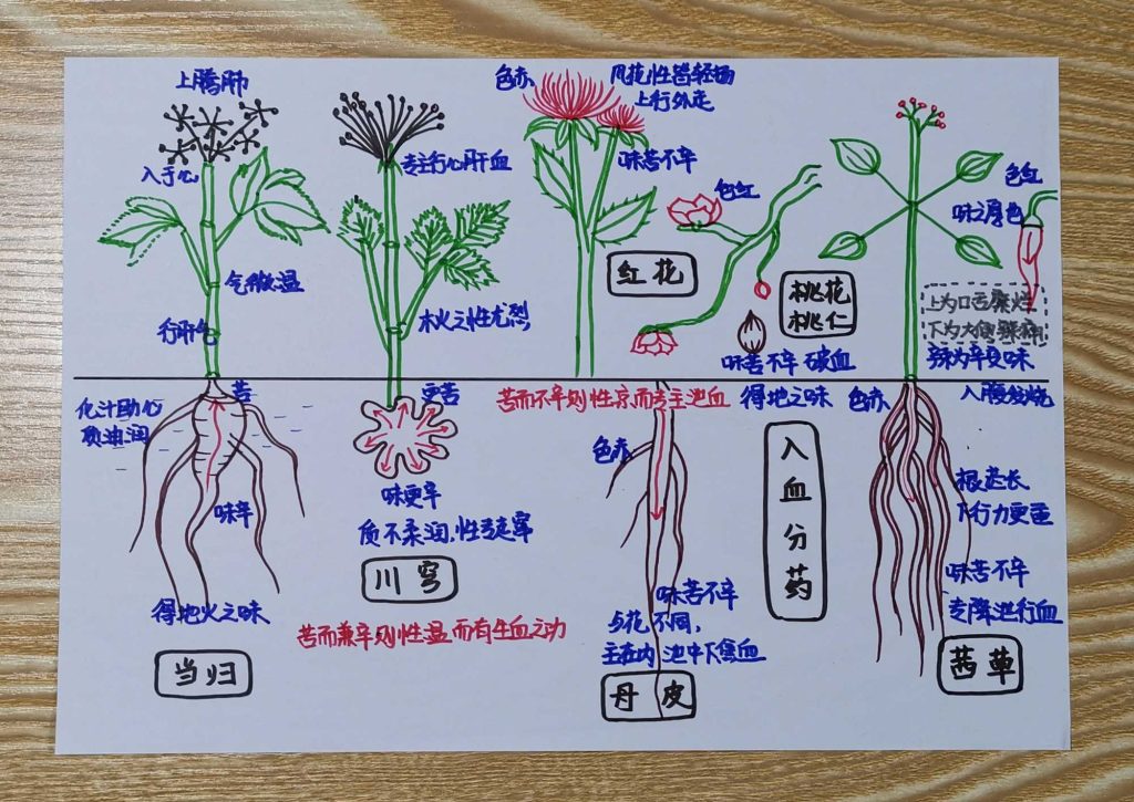 图片[21]-手绘《本草问答》-善米