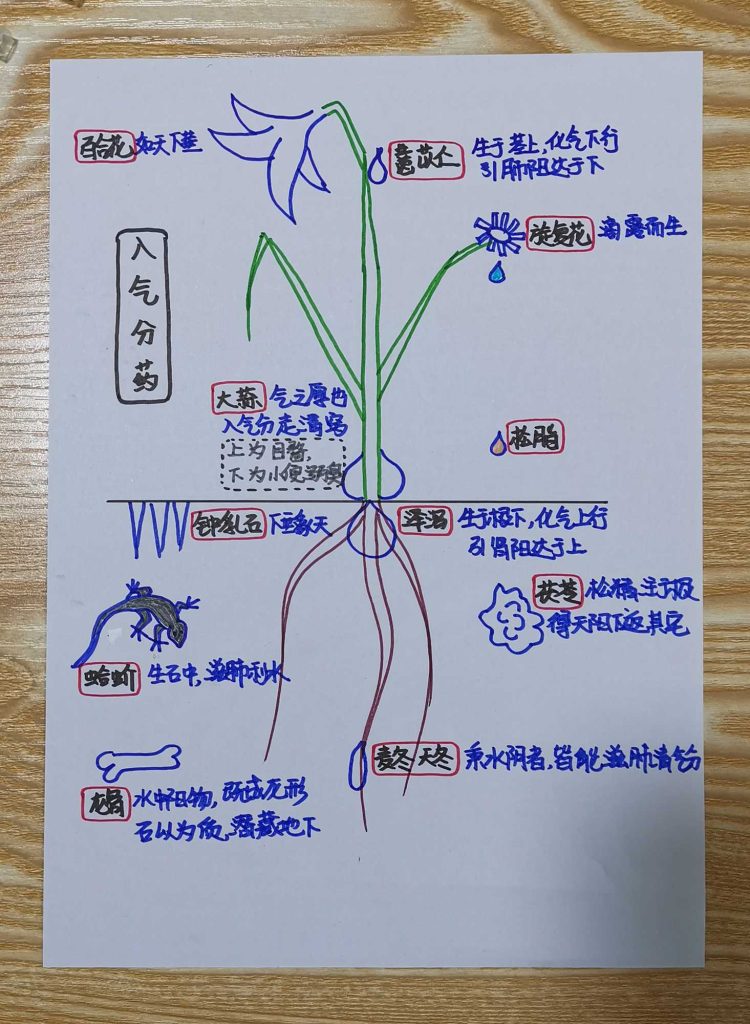 图片[22]-手绘《本草问答》-善米