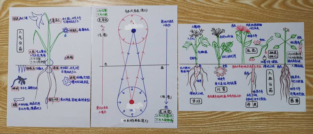 图片[23]-手绘《本草问答》-善米