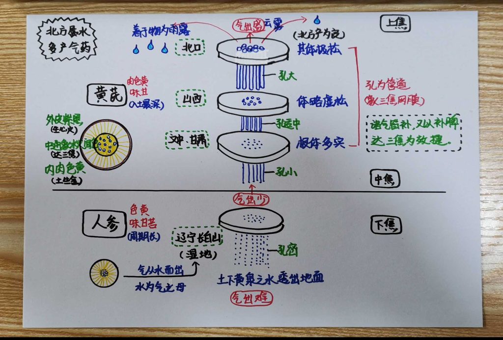 图片[28]-手绘《本草问答》-善米