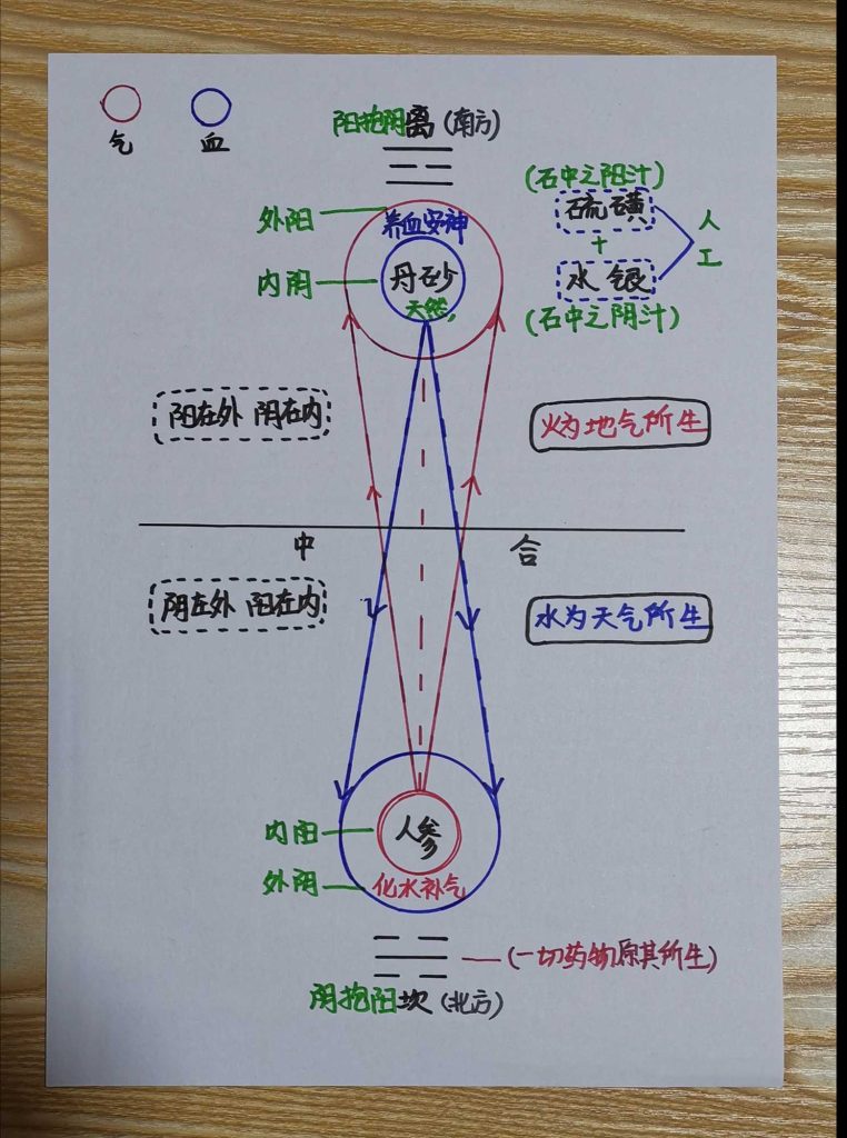 图片[31]-手绘《本草问答》-善米