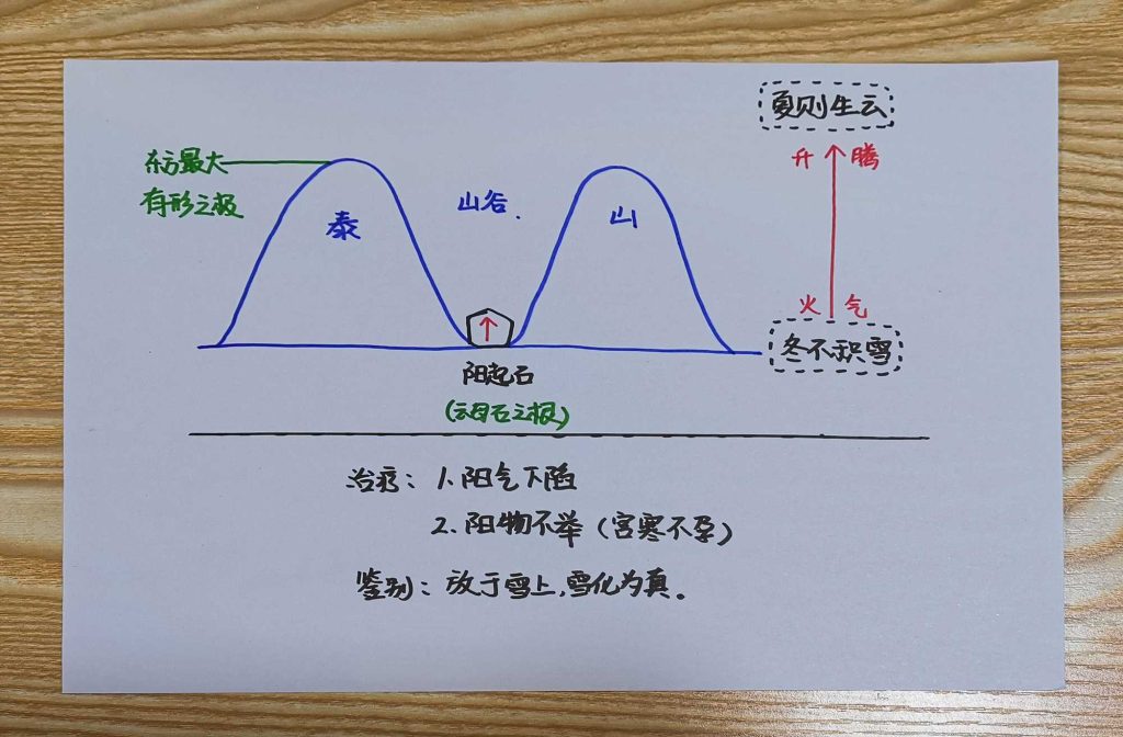 图片[34]-手绘《本草问答》-善米