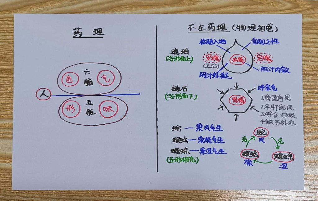 图片[35]-手绘《本草问答》-善米