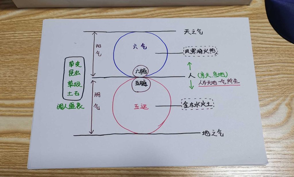 图片[36]-手绘《本草问答》-善米