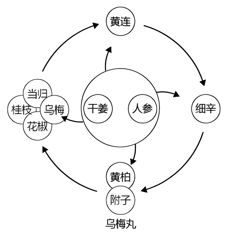 图片[1]-温胆汤中的阴阳之道-善米