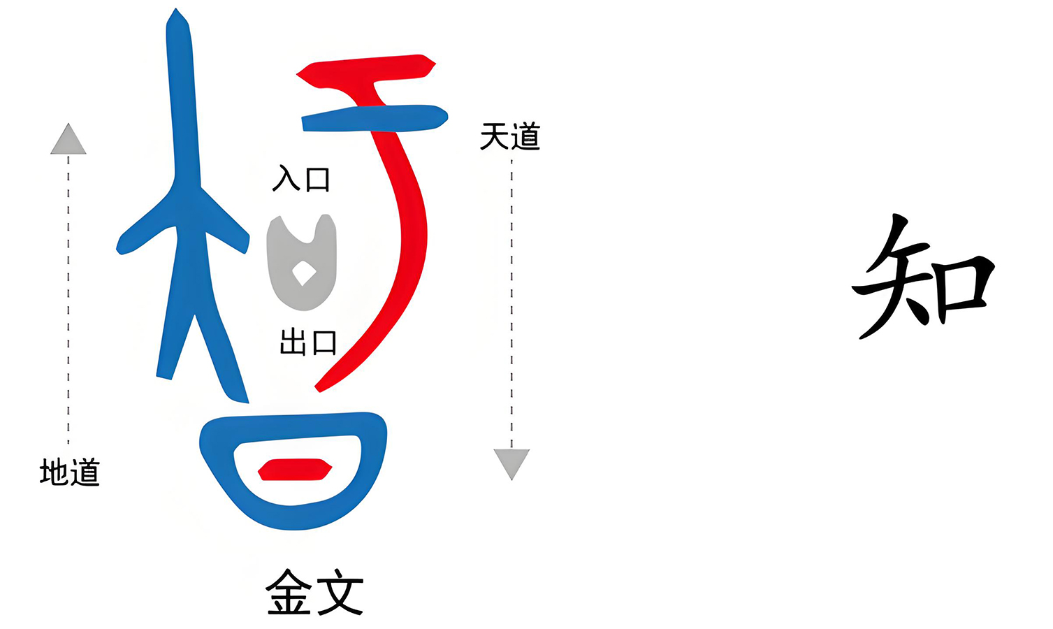 图片[3]-3知天之命（知）-善米