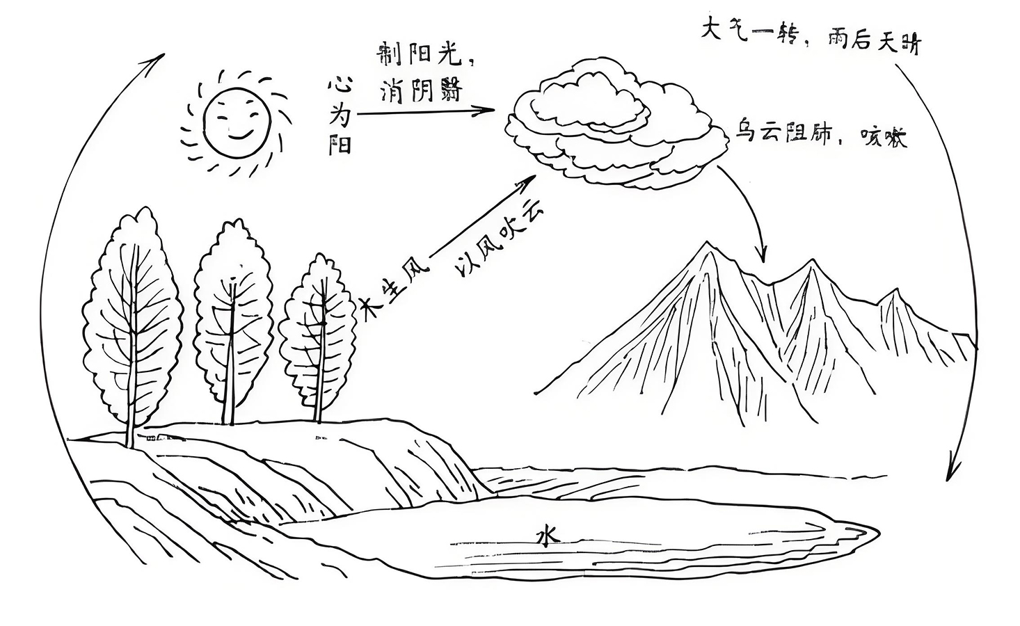 图片[1]-上焦心肺中的阴阳之道-善米