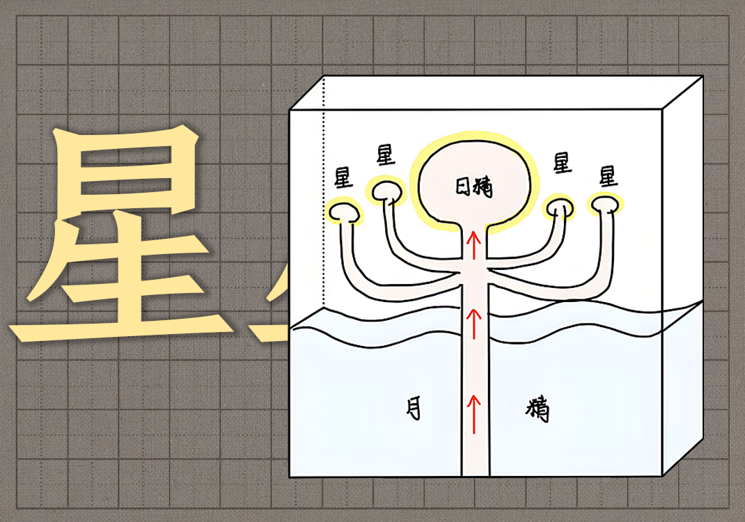 2星究竟代表什么-善米