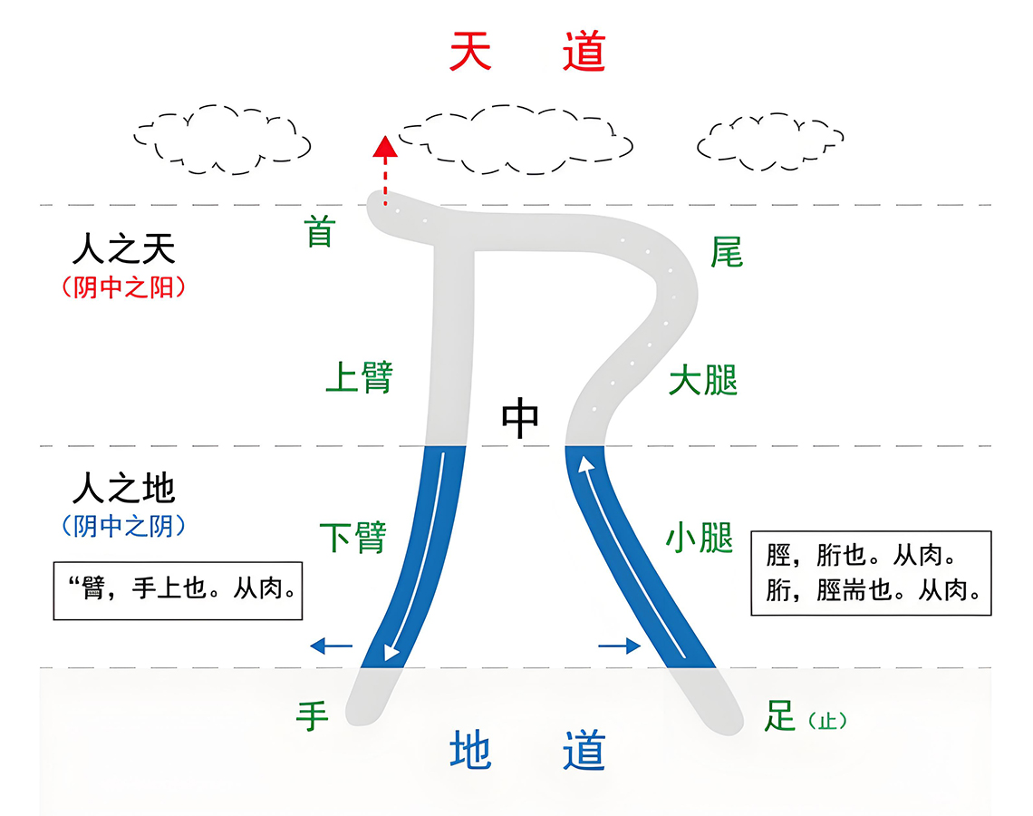 图片[1]-6人之上极3（口、首、乃）-善米