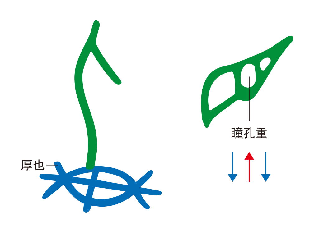 3童子之重1（目、重）-善米