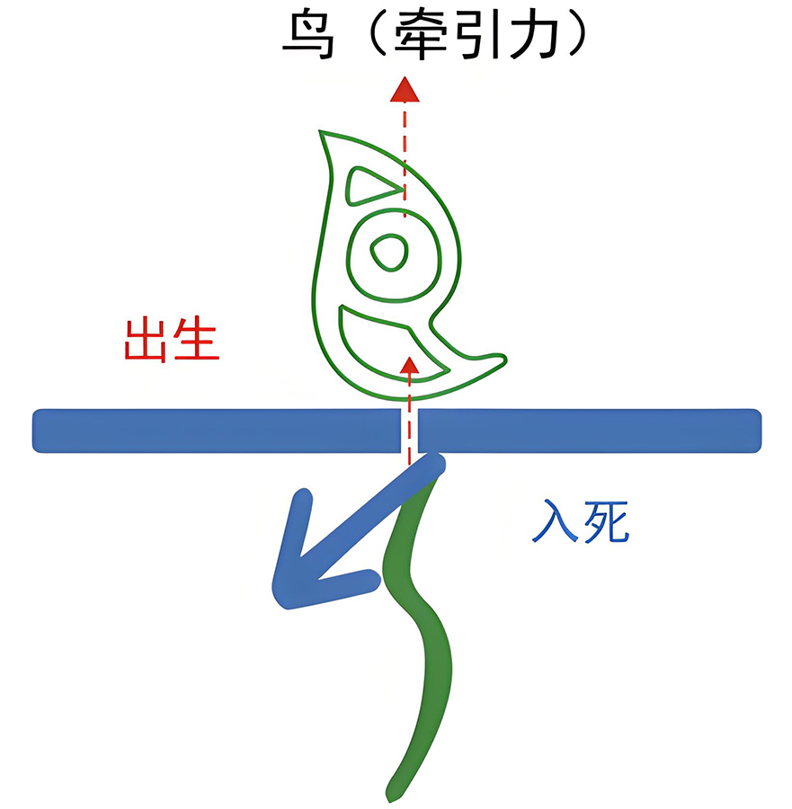 图片[9]-1天地之气（三、二、一、气）-善米