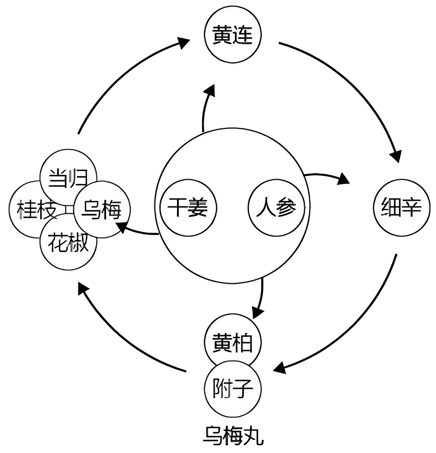 图片[2]-筋急与筋迟中的阴阳之道2-善米