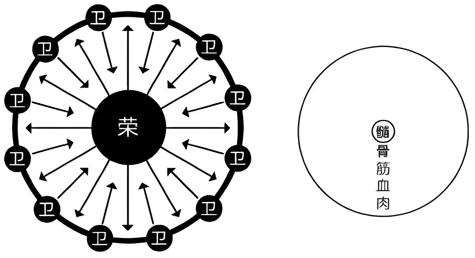 图片[1]-伤寒治水中的阴阳之道-善米