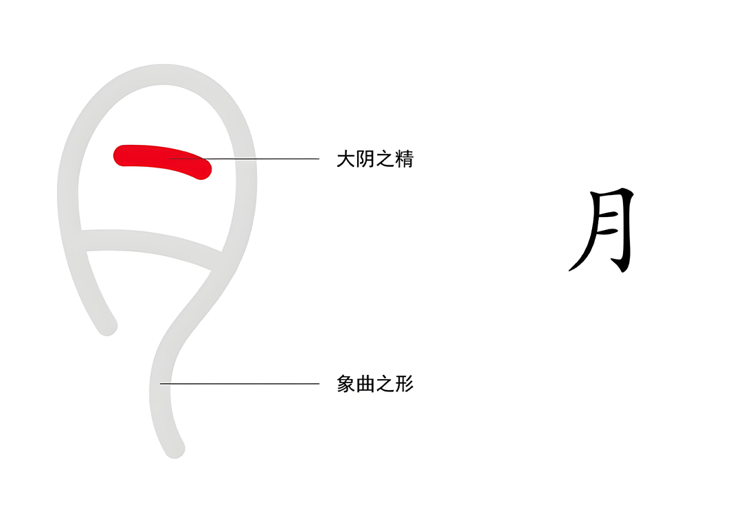 4什么是月之精（月、阙、两、重、𡈼）-善米