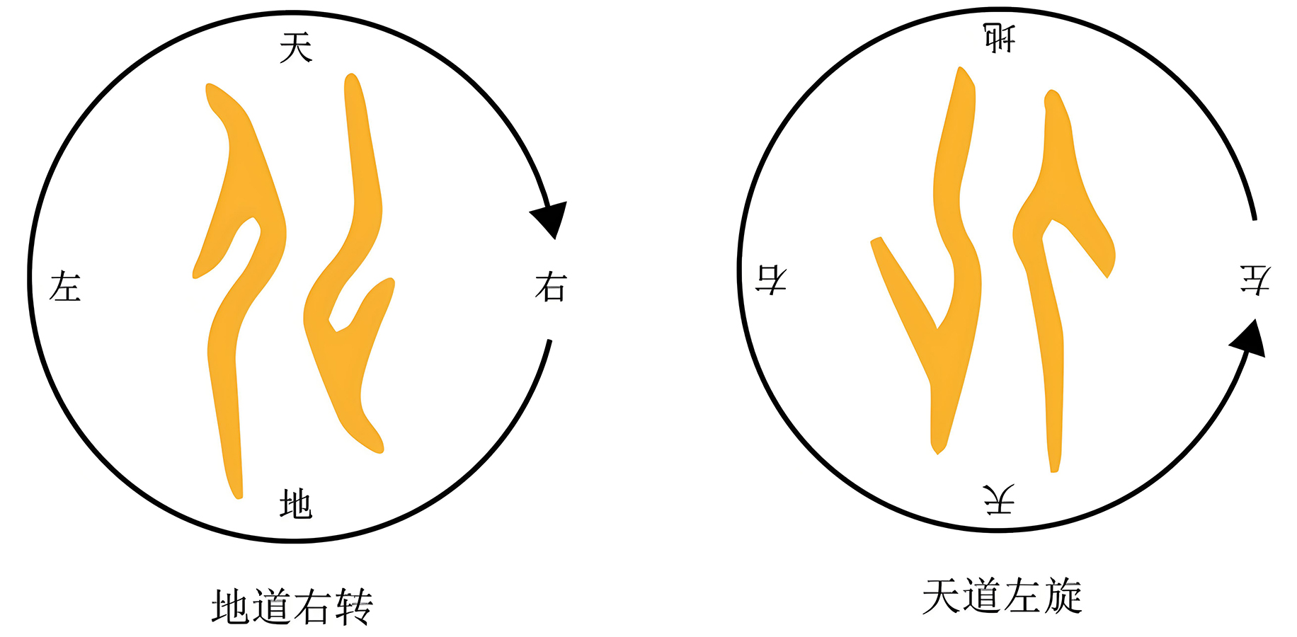 图片[3]-7人心之动（文、化）-善米