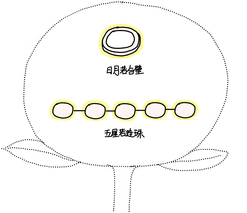 图片[4]-2星究竟代表什么-善米