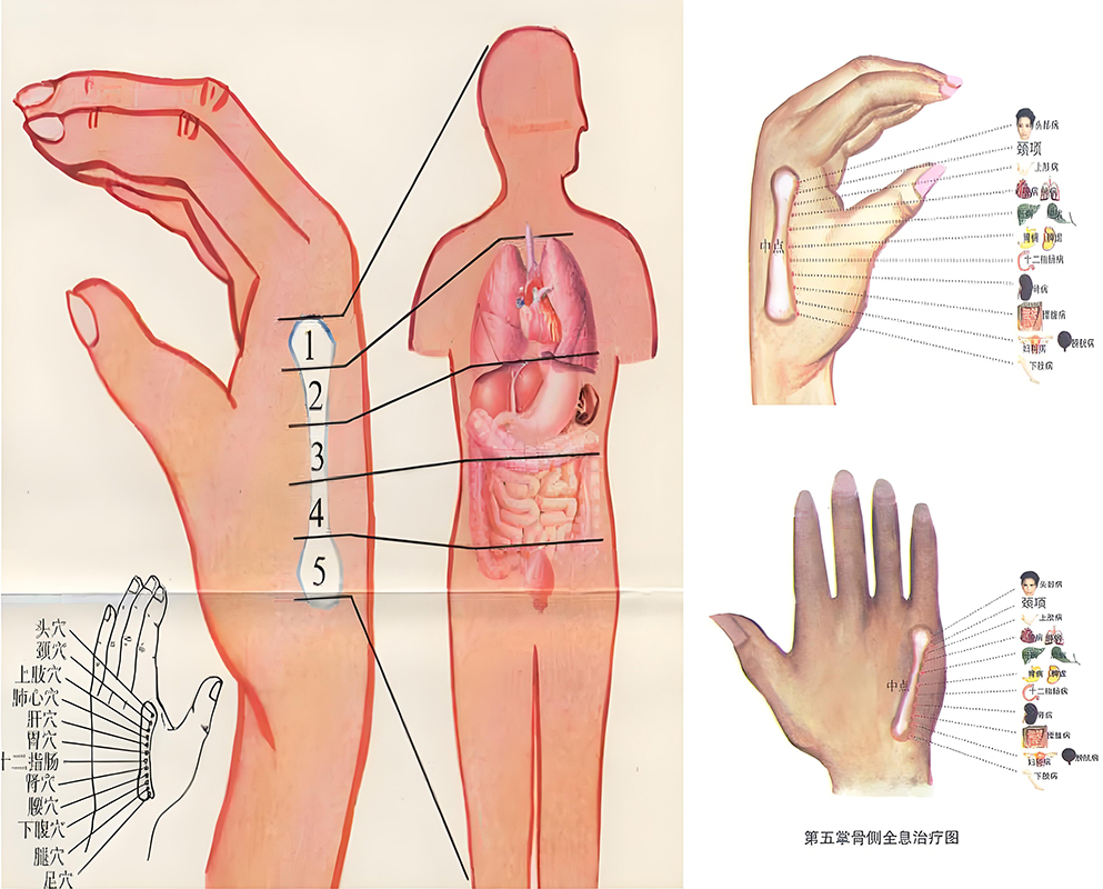 图片[3]-手部全息中的阴阳之道-善米