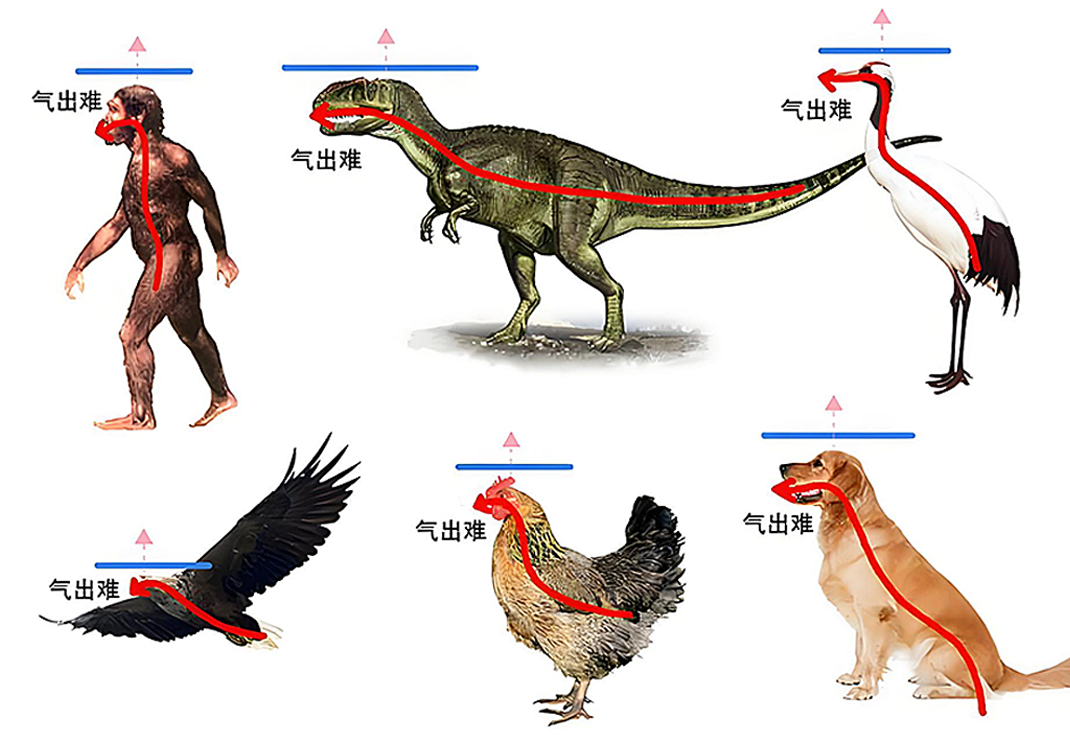 5人之上极2（口、首、乃）-善米