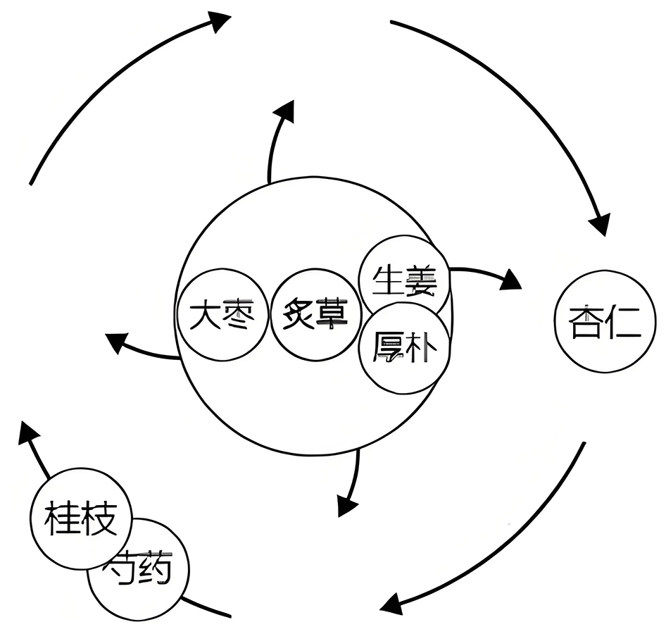 图片[1]-桂枝加厚朴杏子汤中的阴阳之道-善米