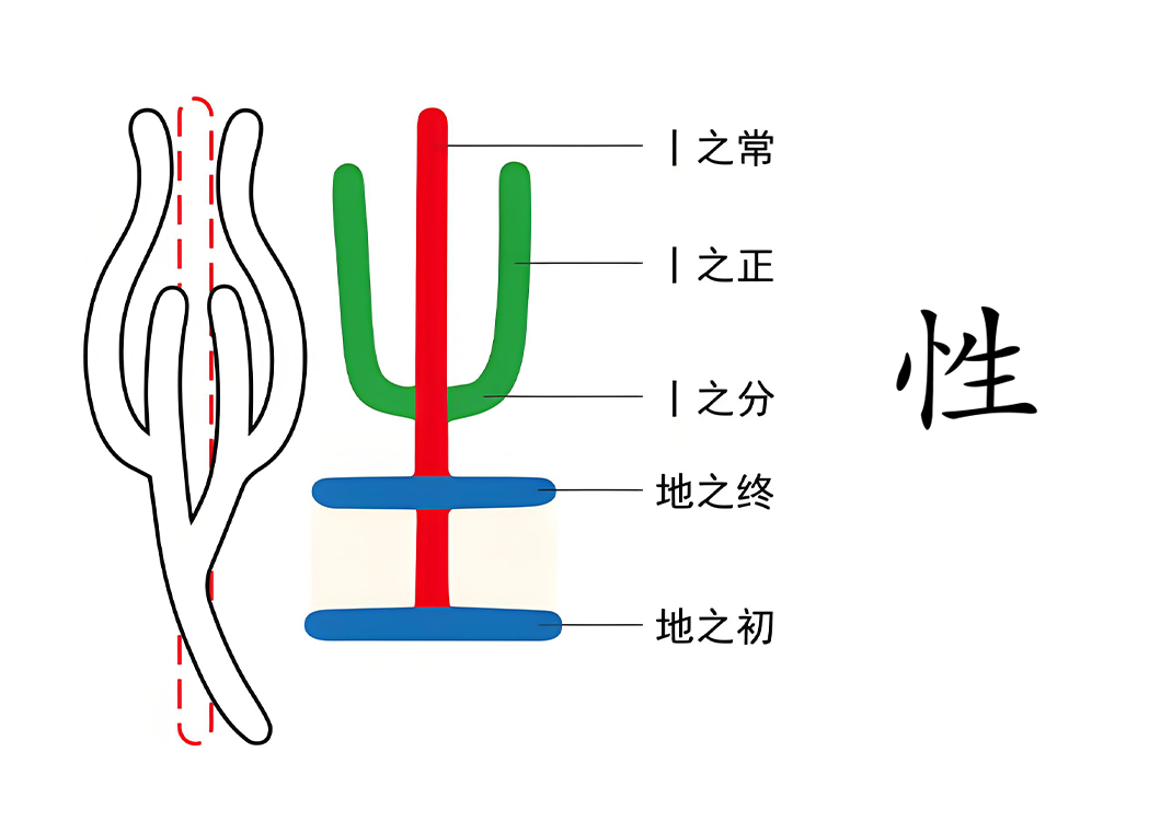 08人的性情能解刨吗（性、土、情、丹）-善米