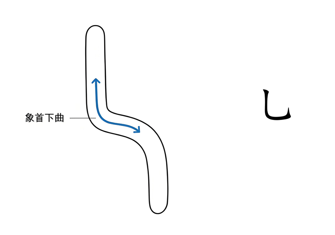 6曲有多少种形态（乚、彳、屯、乙、勹、尢、☐、乔）-善米