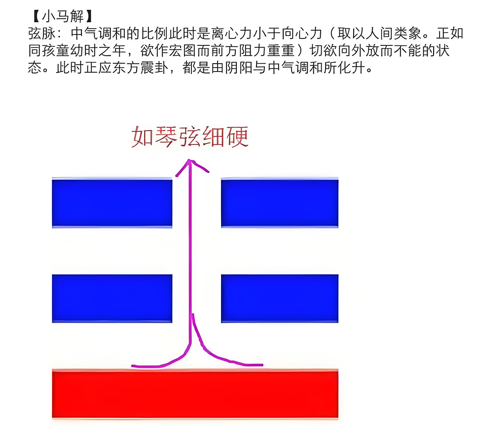 图片[5]-糖尿病中的阴阳之道1-善米