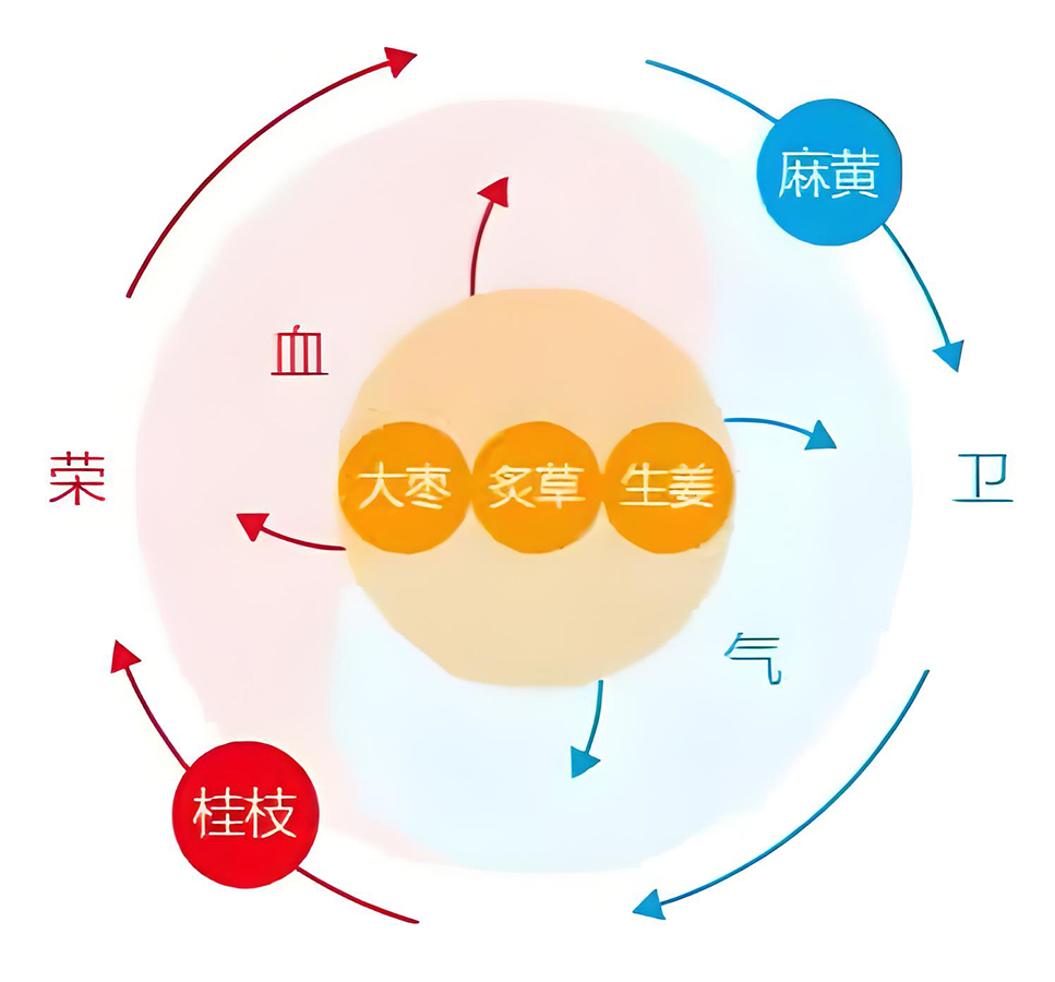 图片[1]-太阳病中的阴阳之道-善米