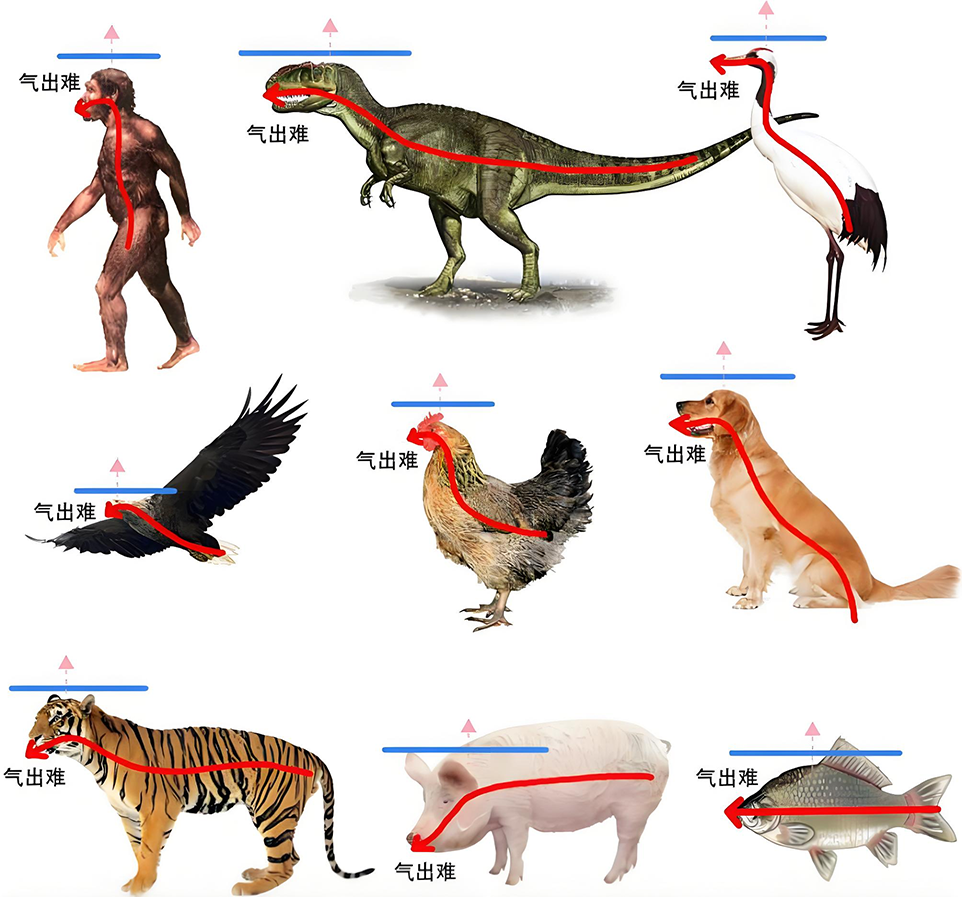 图片[2]-03人的最高点在哪里2（大、共、别）-善米