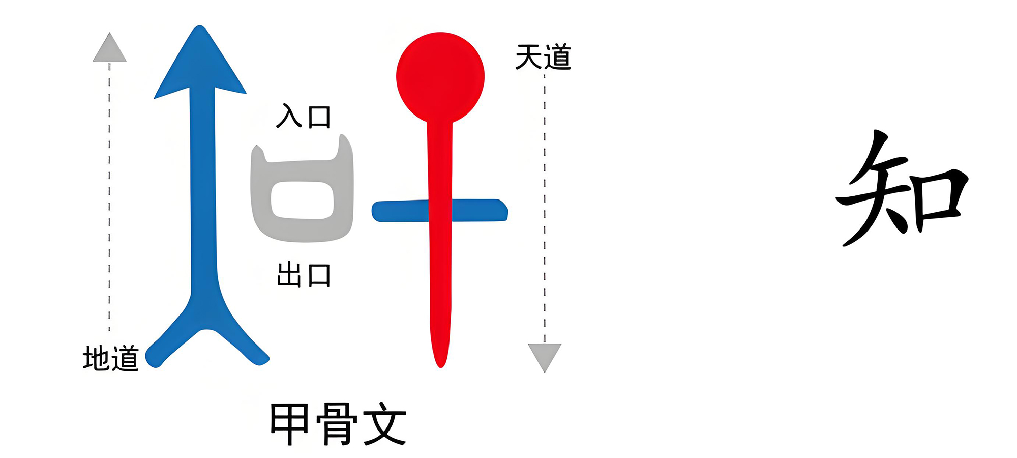 图片[1]-3知天之命（知）-善米