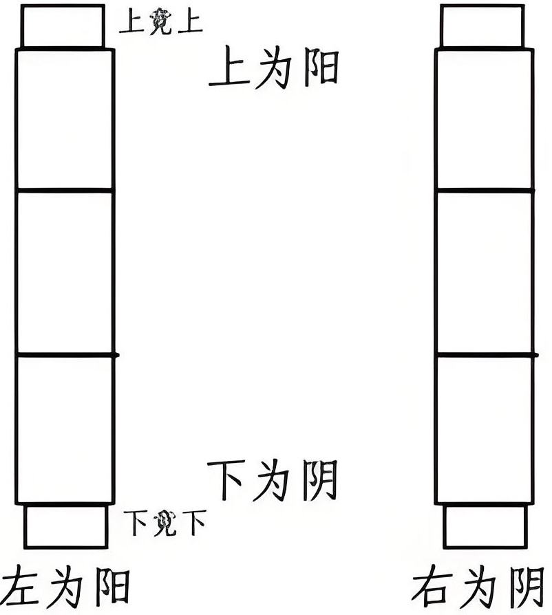 图片[3]-脉诊之部中的阴阳之道-善米